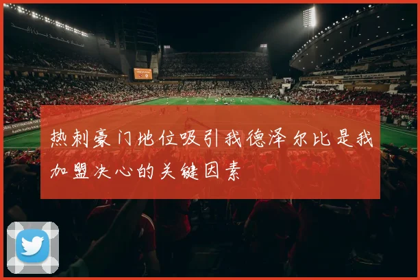 热刺豪门地位吸引我德泽尔比是我加盟决心的关键因素